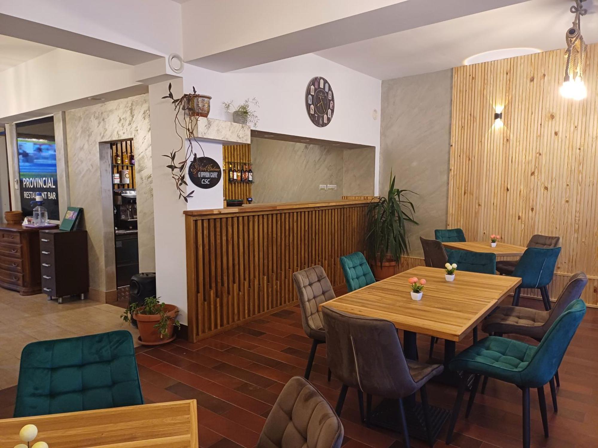 Provincial Otel Viseu de Jos Dış mekan fotoğraf